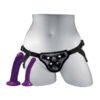 Sportsheets Anal Explorer Kit - Image 4